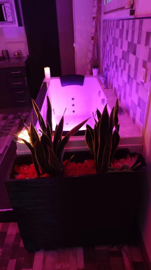 El Nido De La Galeria Lejlighed Setenil De Las Bodegas Eksteriør billede